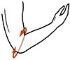 Armbågsskydd OSport OS6230_size-guide
