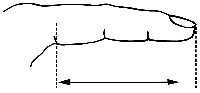 Fingerstöd / fingerskena _size-guide