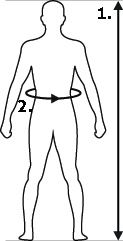 Hållningsväst EXTO™  _size-guide