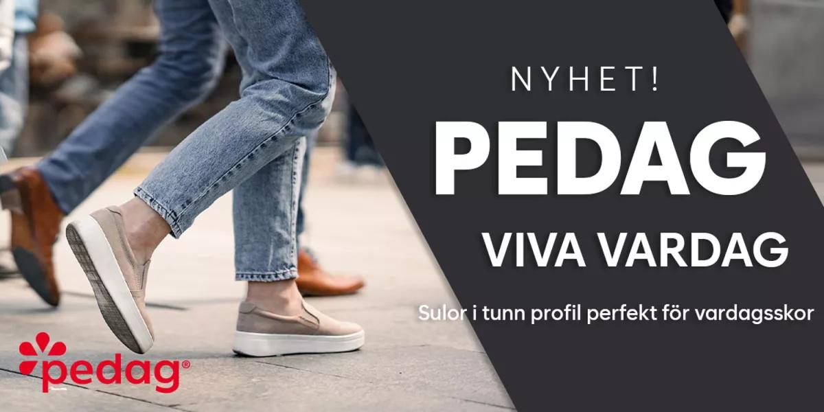 Pedag Viva Nyhet